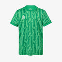 Surge GK Shirt Junior - Green