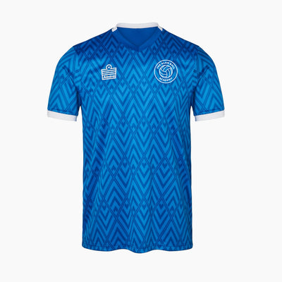 Alan Ball Academy Football Shirt - Royal