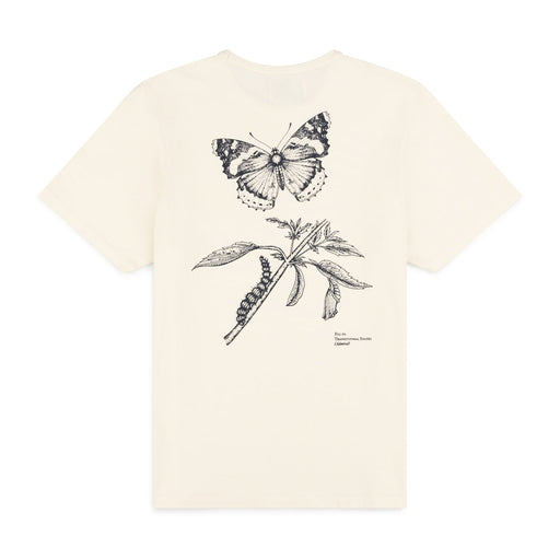 Butterfly Life Cycle T-shirt - Gyr White