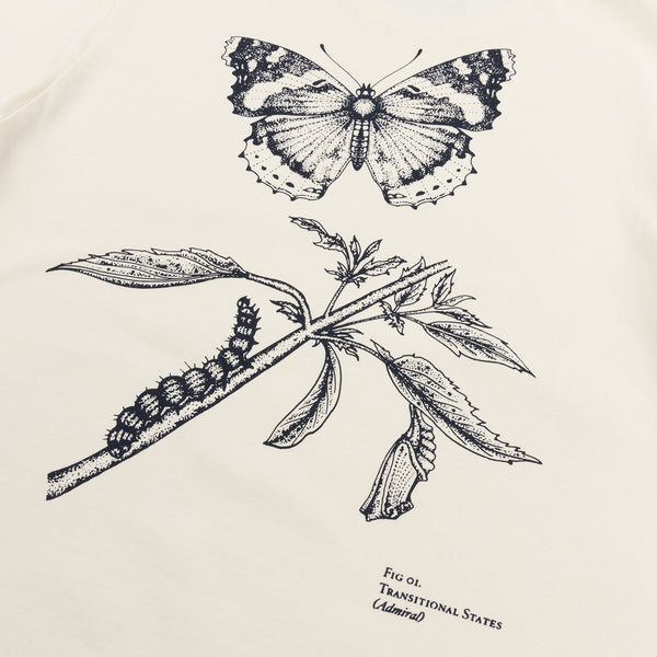 Butterfly Life Cycle T-shirt - Gyr White